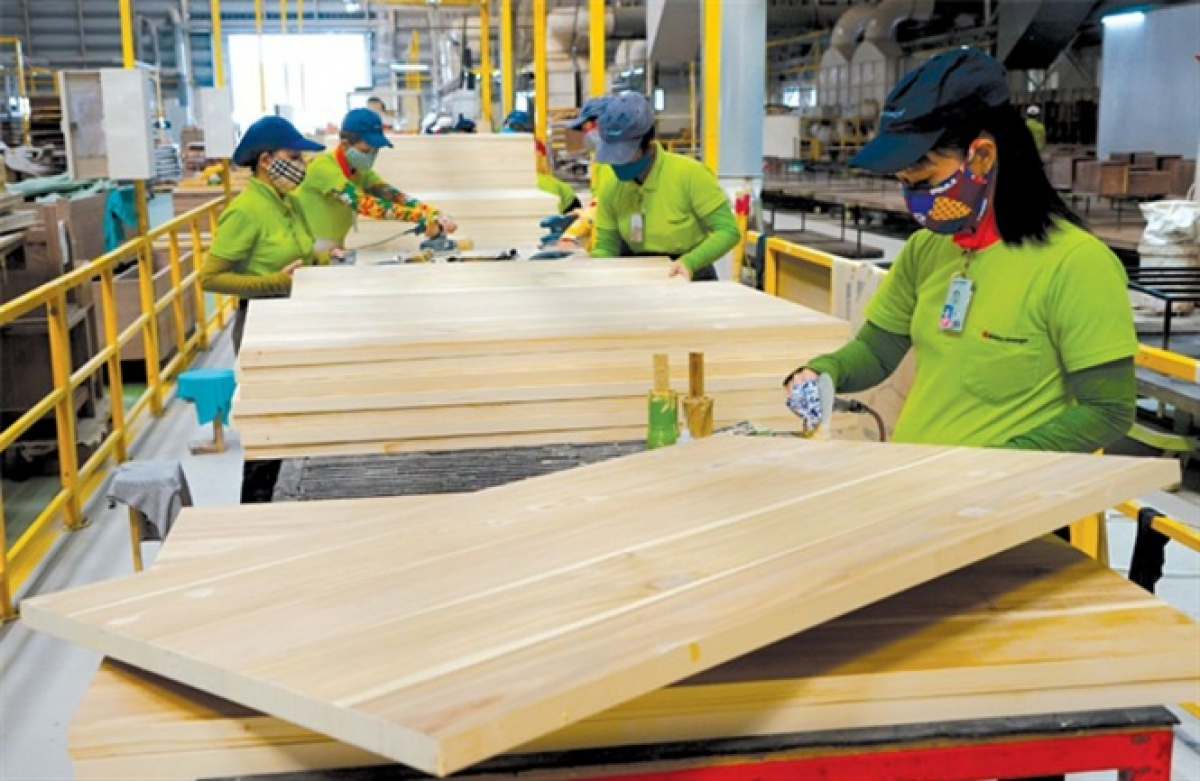 Vifores kêu cứu về tình trạng gỗ Trung Quốc 'đội lốt' gỗ Việt