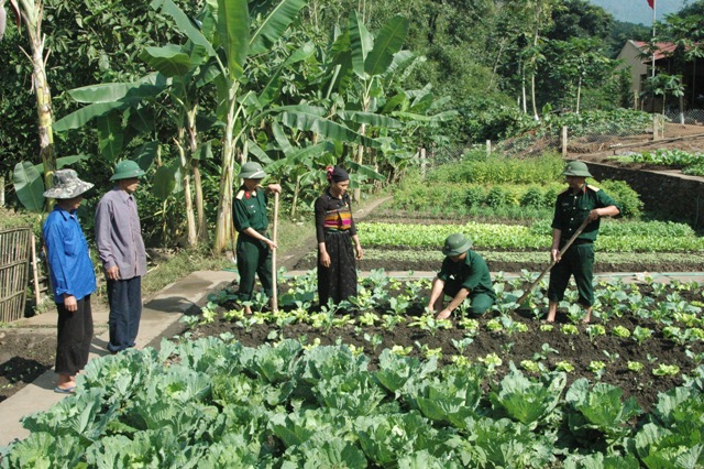 Mường Lát xây dựng các mô hình phát triển kinh tế (Bài cuối): Tìm hướng đi thoát nghèo bền vững