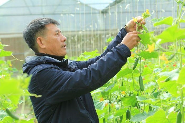 HTX Tân Tiến: Đổi mới bằng ứng dụng khoa học kỹ thuật tiên tiến