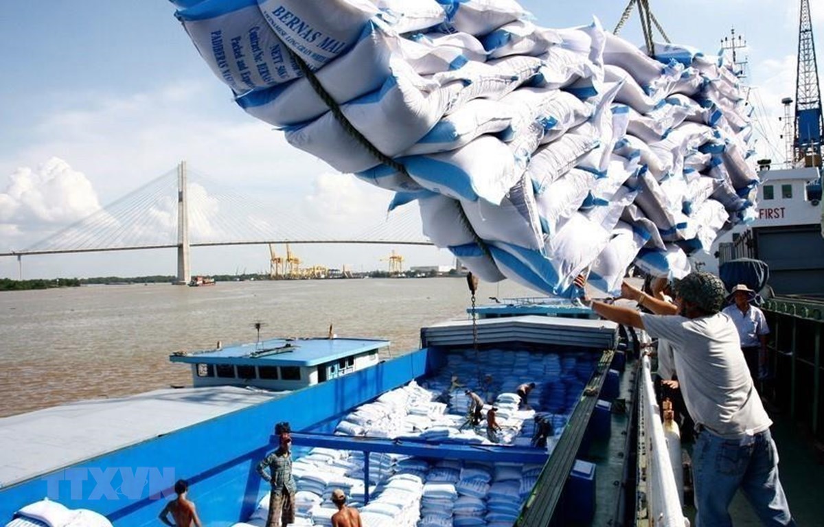 Gạo Việt liệu có 'vượt mặt' gạo Thái trước tác động của dịch COVID-19?