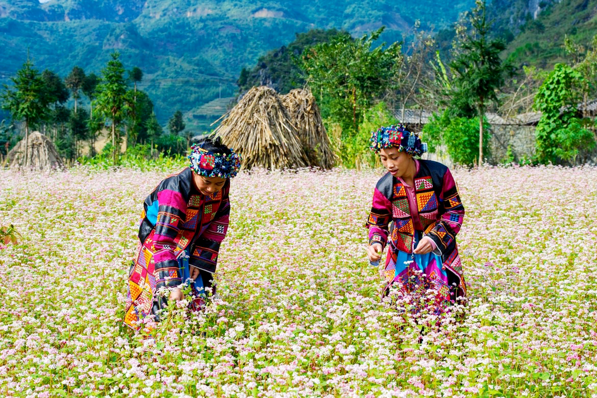 Dấu ấn trong phát triển kinh tế ở Đồng Văn (Bài cuối): Khơi thông thế mạnh để bứt phá