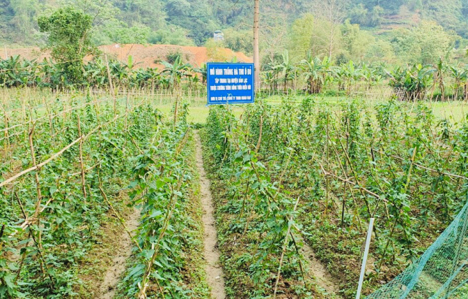 Đẩy mạnh ứng dụng khoa học công nghệ ở miền núi (Bài 2): Mở ra triển vọng mới trong sản xuất nông nghiệp