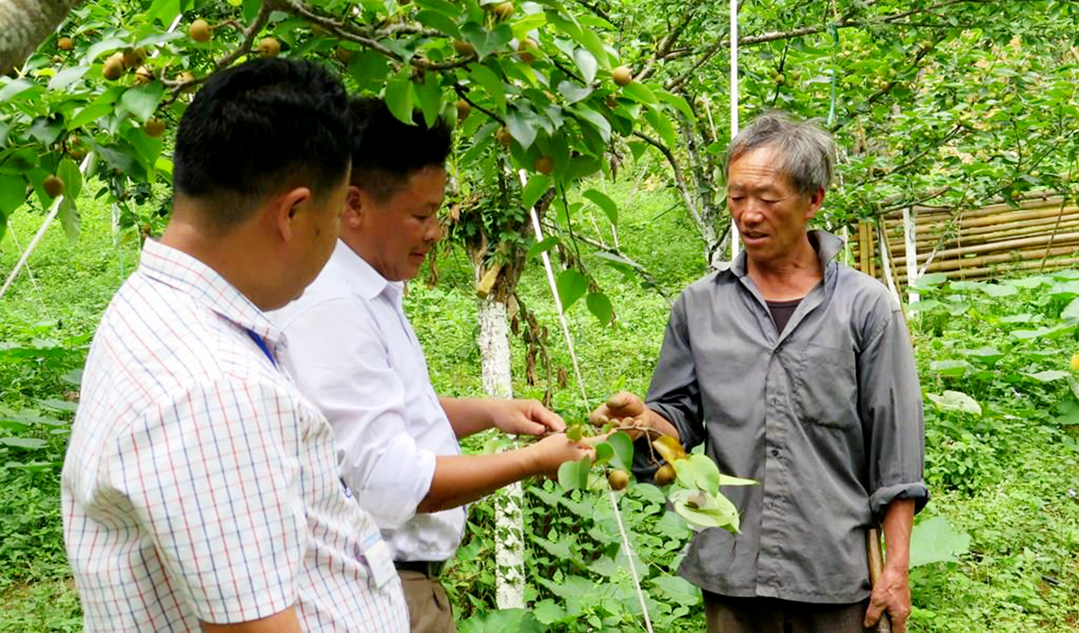 Chuyện xóa nghèo ở Si Ma Cai (Bài 1): Tập trung hai mũi đột phá
