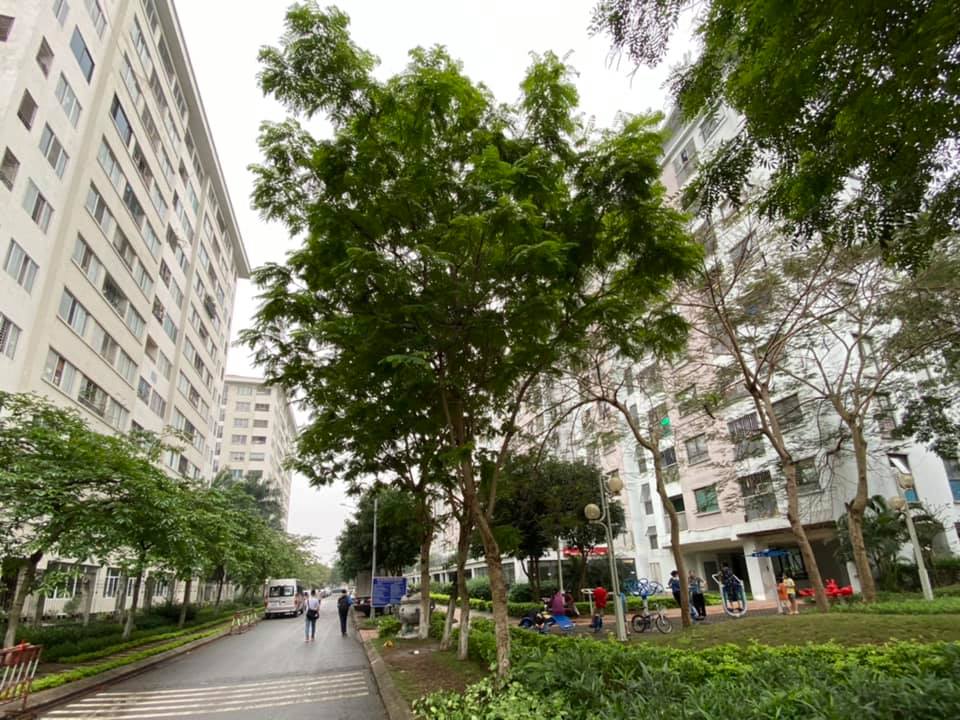 Nguồn cung căn hộ TP. HCM tăng, kỳ vọng giá hạ vẫn mong manh
