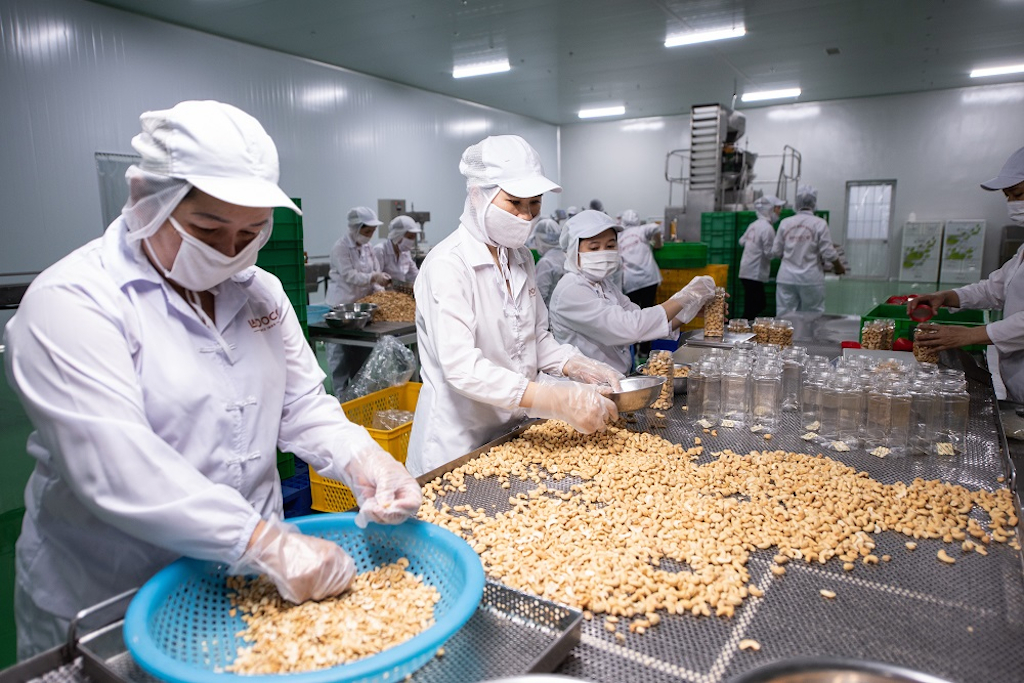 Doanh nghiệp điều liêu xiêu vì nguyên liệu