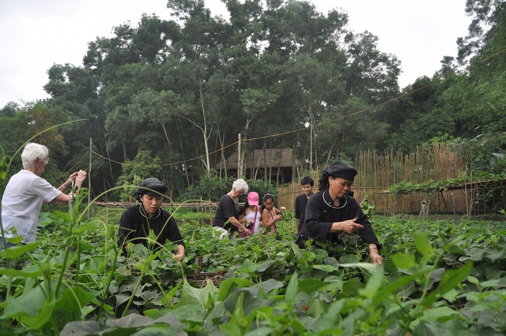 Người Tày chung sức xây dựng quê hương Định Hóa (Bài cuối): Kinh tế hợp tác tạo động lực phát triển kinh tế nông thôn