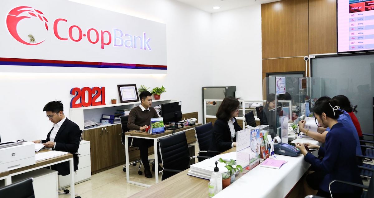 Những trường hợp nào sẽ được Ngân hàng Hợp tác xã Việt Nam cho vay đặc biệt?
