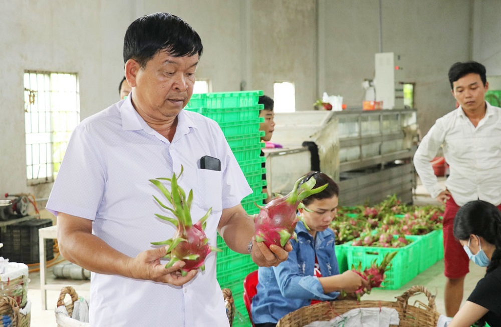'Mở khóa' cho công tác kế toán hợp tác xã