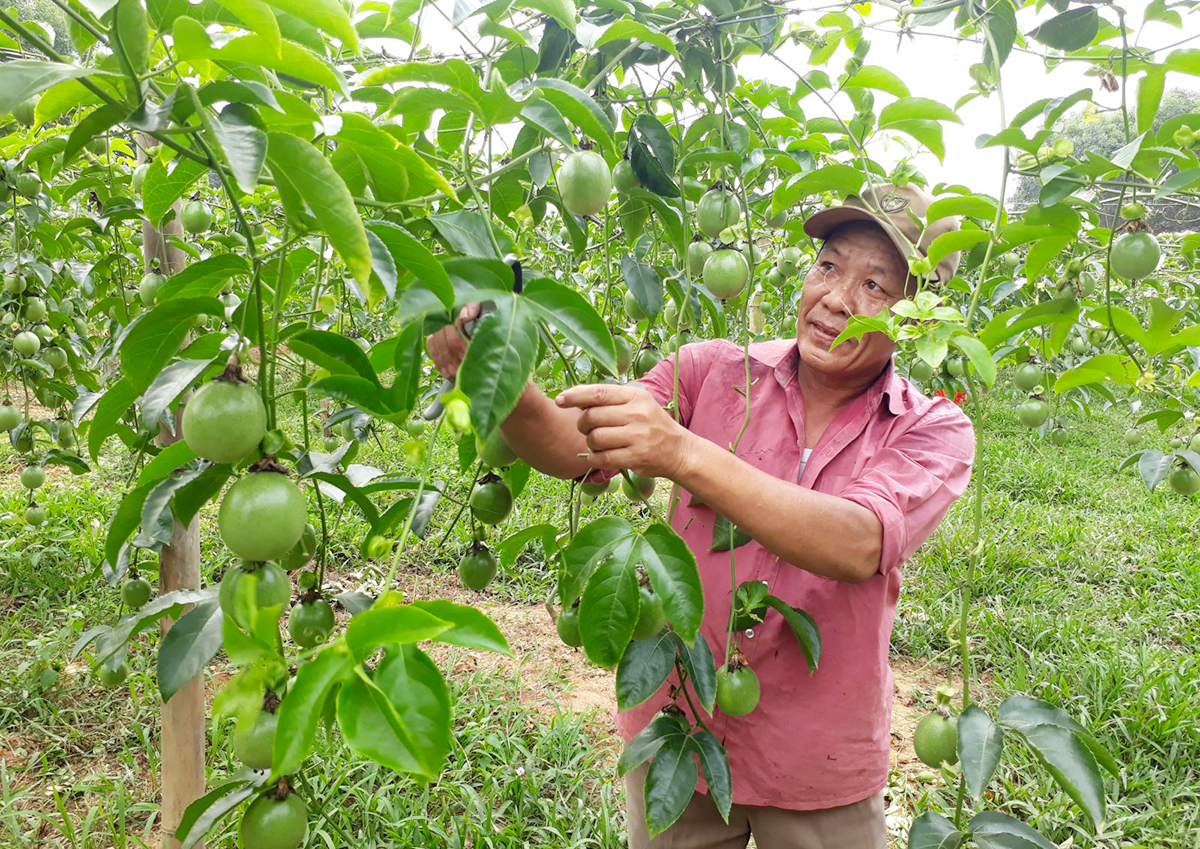 Dạy nghề hiệu quả, Vĩnh Thủy đánh thức tiềm năng nông nghiệp