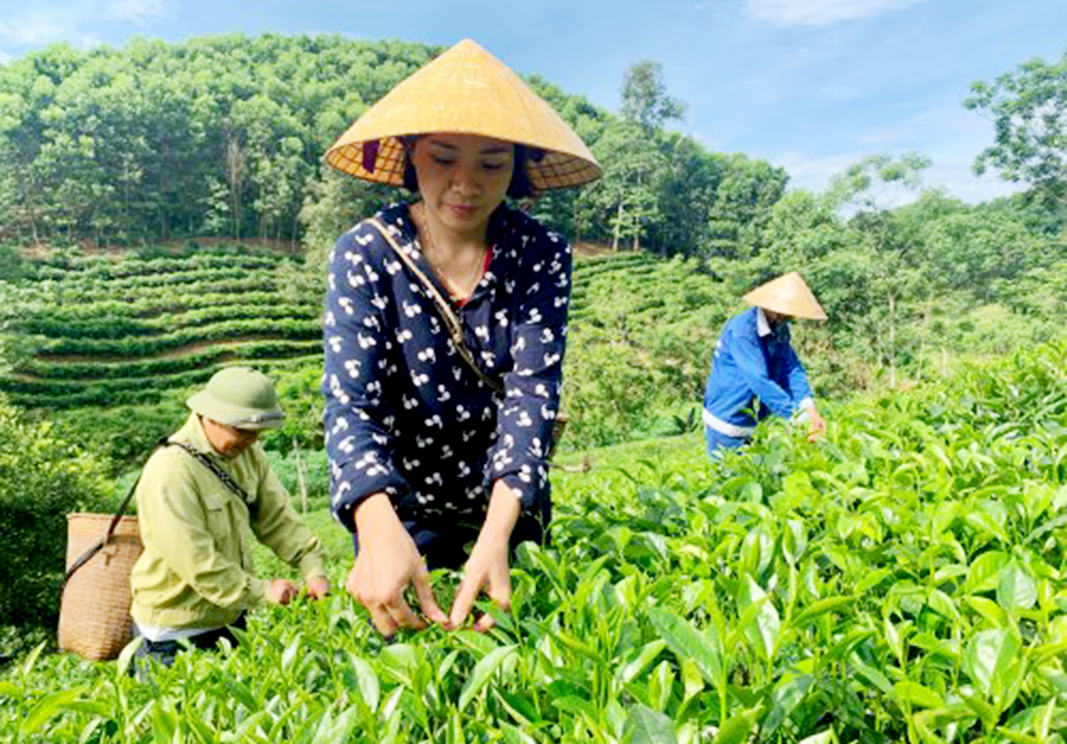 Bình Sơn phát triển bền vững nhờ sản xuất xanh
