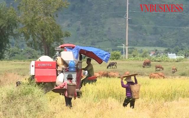 Tín dụng chính sách với đồng bào dân tộc thiểu số (Bài cuối): Kinh tế hợp tác và vai trò 'dẫn đường'
