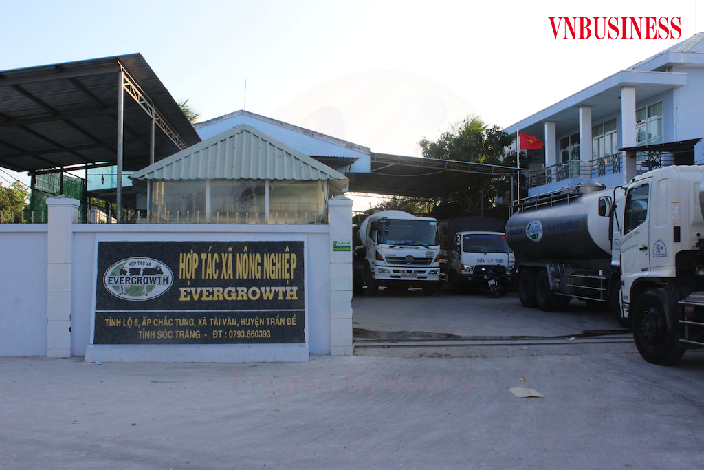 Người Khmer ở Sóc Trăng làm kinh tế giỏi (Bài cuối): Cùng đi lên với kinh tế hợp tác