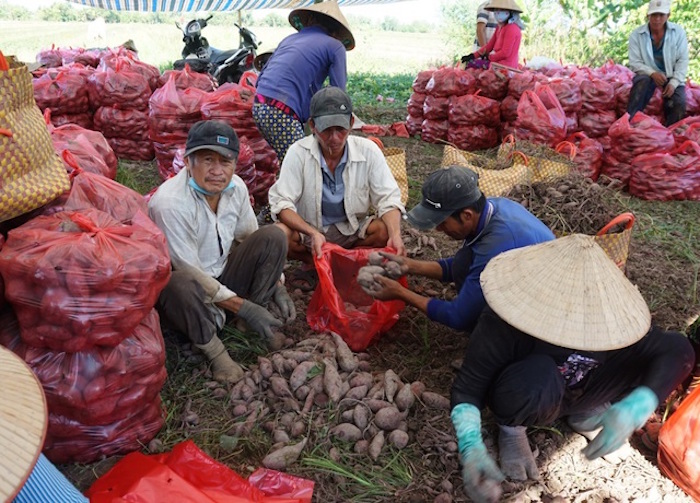 Gỡ rào cản kỹ thuật để nông sản 'rộng cửa' xuất khẩu