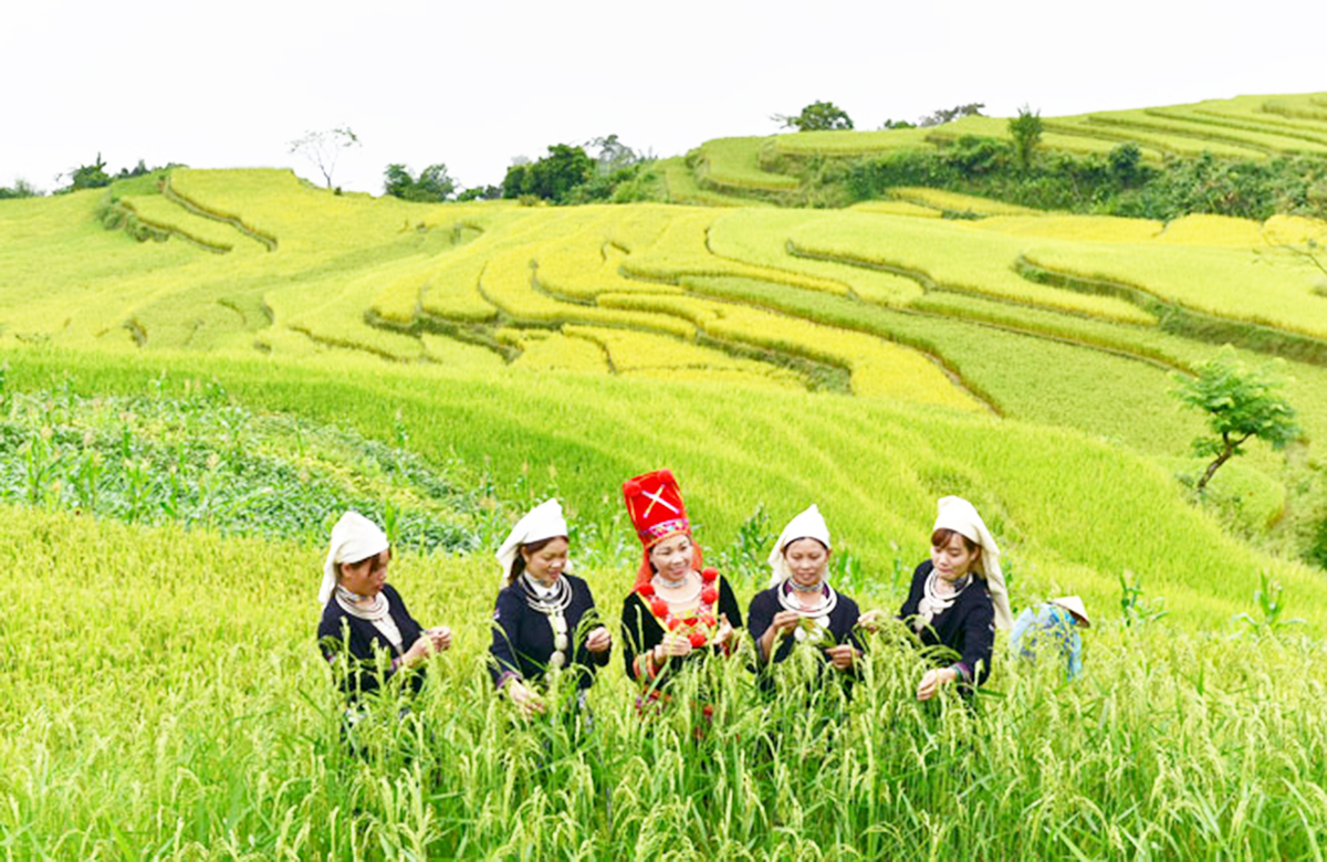 Na Hang đổi thay từ nông nghiệp hàng hóa (Bài cuối): Đánh thức tiềm năng du lịch sinh thái