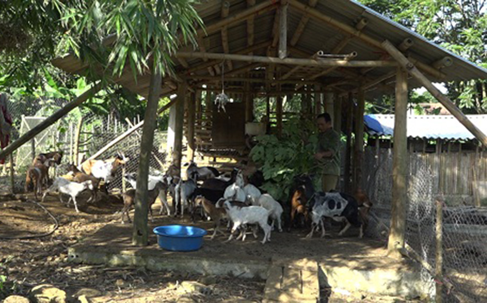 Phát triển HTX vùng dân tộc thiểu số ở Bắc Giang (Bài 1): Khó khăn không chỉ trước mắt