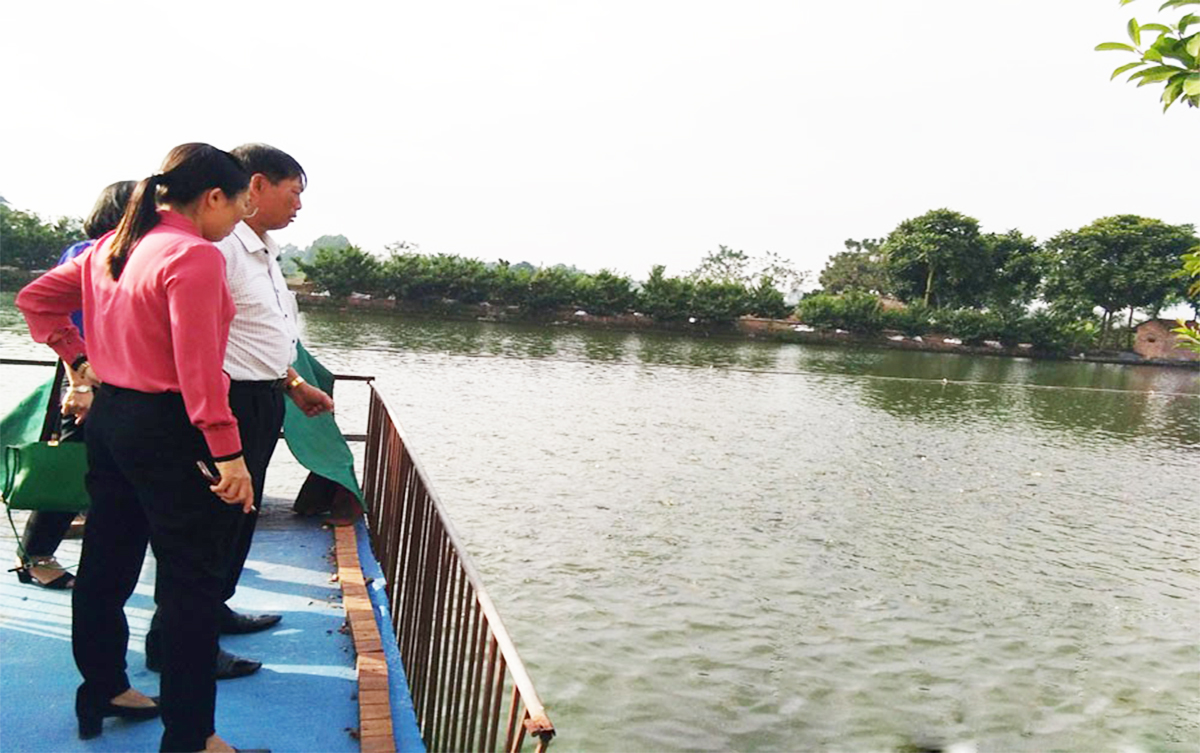 Giáo dân Lương Tài đoàn kết, phát triển kinh tế (Bài 2): Chuyển biến trên 'mặt trận' nông nghiệp