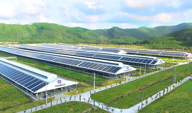 Tổ hợp trang trại bò sữa của Vinamilk tại Lào dự kiến đi vào hoạt động vào quý I/2022