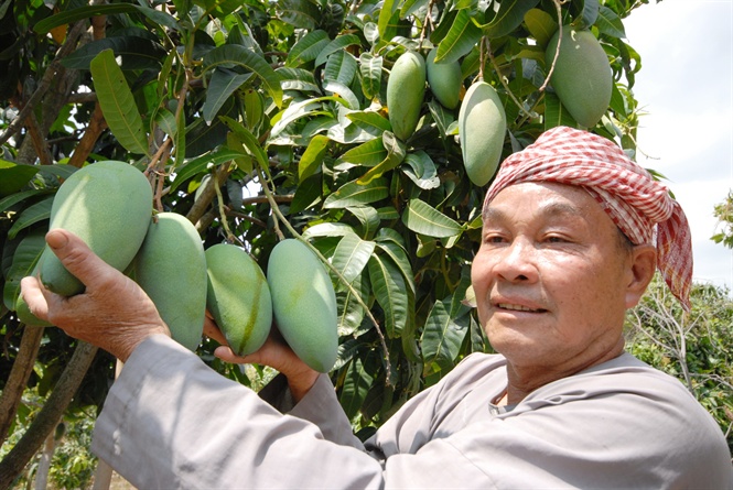 Bài toán tiêu thụ dài hơi cho nông sản Việt