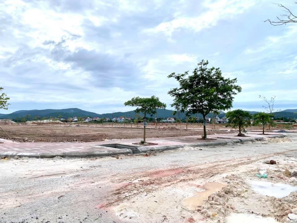 Hậu sốt đất, nhà đầu tư 'găm tiền' chờ thời