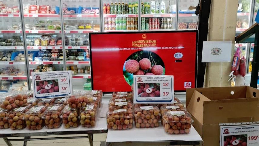 Lô vải thiều đầu tiên sang Pháp bán hết veo trong 3 ngày