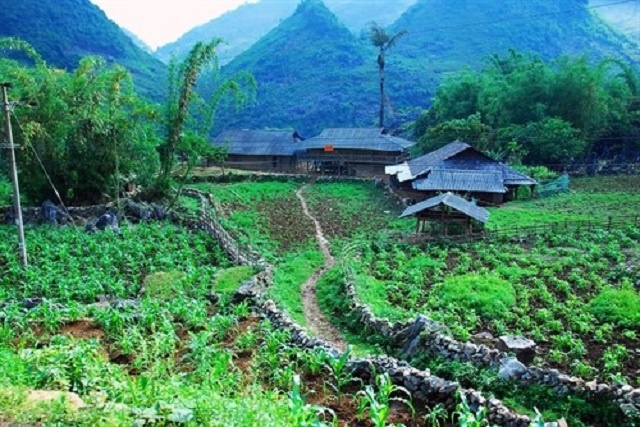 Hang-rao-da-1-4440-1623901861.jpg