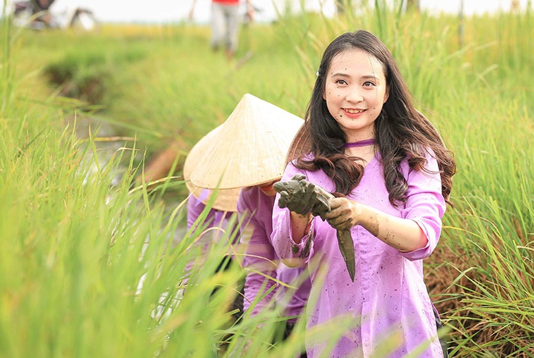 HTX Hiếu Thuận: Đồng lòng phát triển lúa hữu cơ