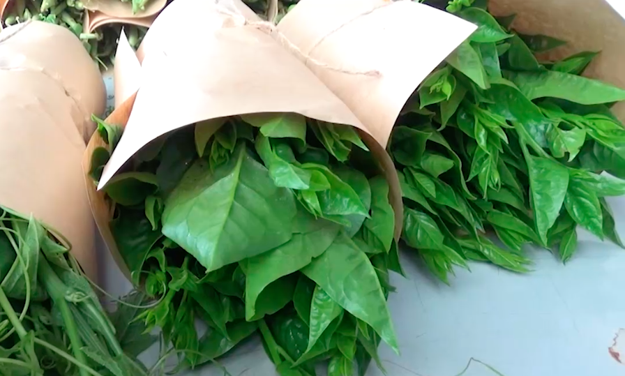Chuyển hướng sản xuất nông nghiệp ở Đơn Dương (Bài 2): Làm rau hữu cơ không lo ế