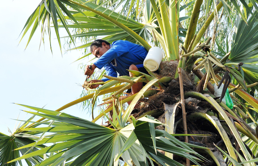 Tạo sinh kế cho đồng bào Khmer ở Tịnh Biên (Bài cuối): Cùng nhau phát triển HTX và sản phẩm OCOP