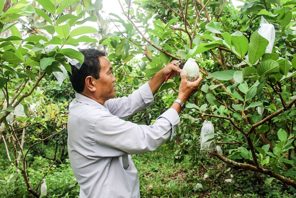 Tạo sinh kế cho đồng bào Khmer ở Tịnh Biên (Bài 3): Hiệu quả xây dựng nông thôn mới