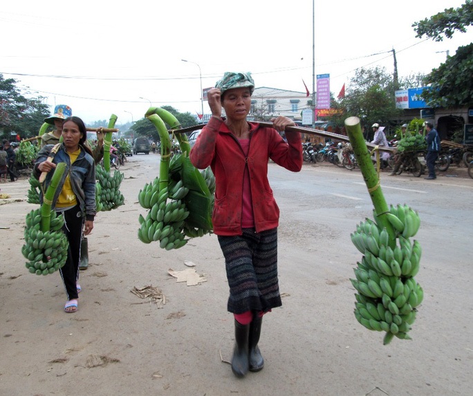Người Vân Kiều tìm hướng thoát nghèo (Bài 1): Tập trung phát triển nông, lâm nghiệp