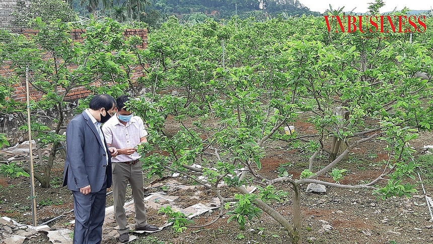 20200423-111509-1624178073-9595-16241784