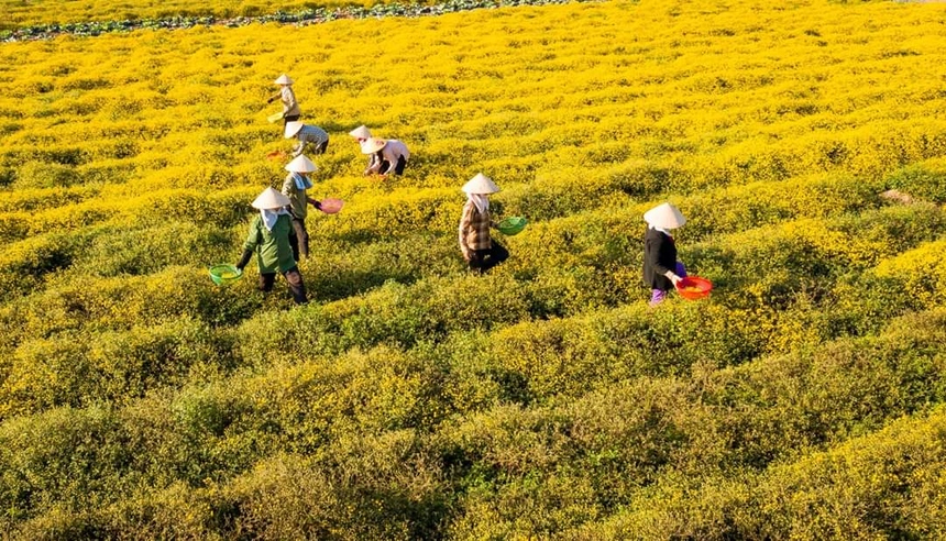 IMG-20210620-152205-1-3109-1624178486.jp