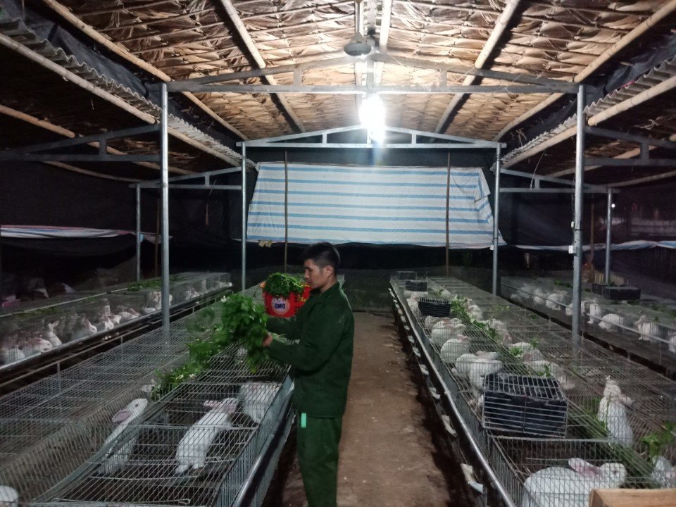 HTX vùng dân tộc thiểu số Yên Bái xây dựng sản phẩm OCOP (Bài 2): Hiệu quả từ liên kết sản xuất
