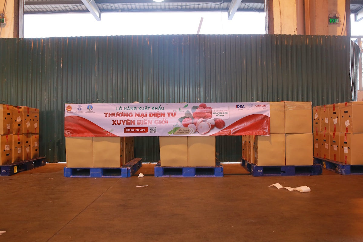Hơn 3 tấn vải thiều Bắc Giang đạt chuẩn GlobalGAP được xuất khẩu sang Đức