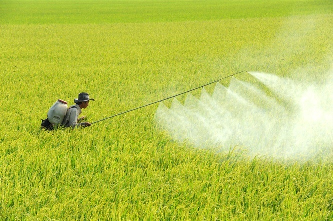 Quảng Ngãi: Nâng chất môi trường nhờ sản xuất sạch