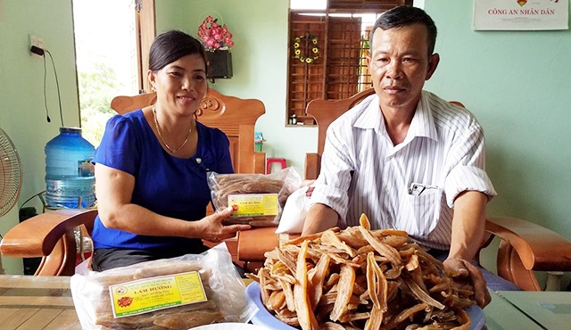 Đồng bào DTTS Quảng Bình đoàn kết phát triển kinh tế (Bài 1): Nỗ lực giảm nghèo ở vùng miền núi