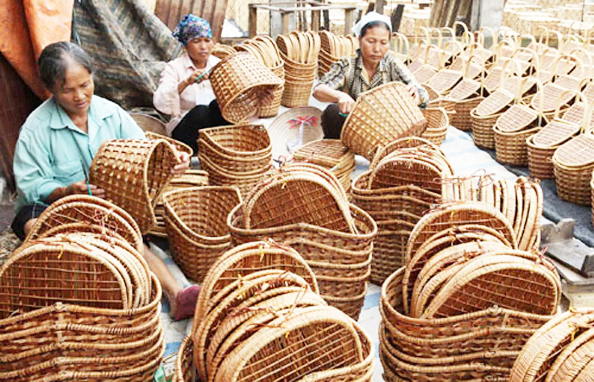 Nâng cao vai trò của HTX trong đào tạo nghề nông thôn ở Nông Cống
