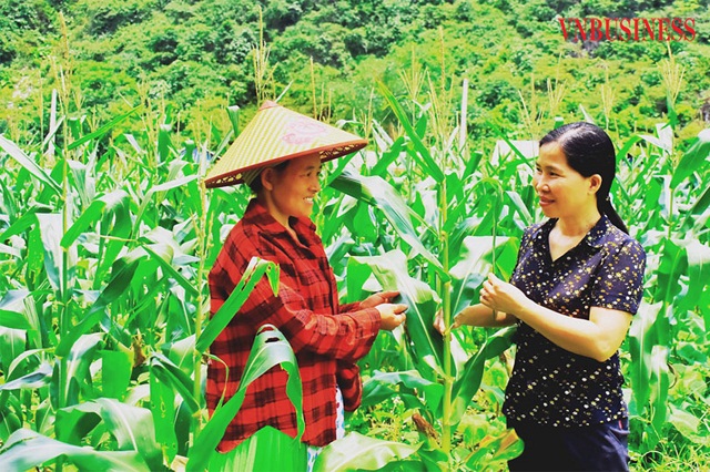 Người Mông tại Thái Nguyên vươn lên thoát nghèo (Bài 1): 'Đòn bẩy' chính sách