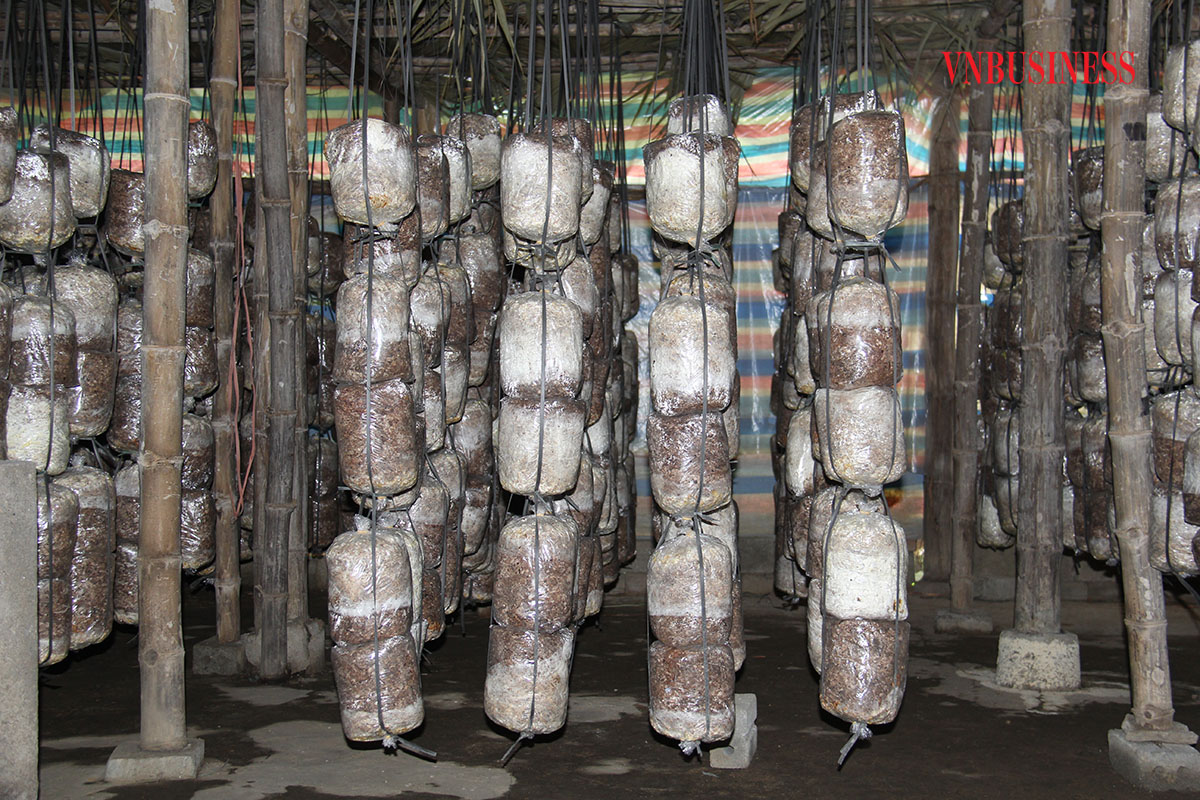 Người dân xứ Tuyên làm kinh tế hợp tác (Bài cuối): Tiên phong trong công tác giảm nghèo