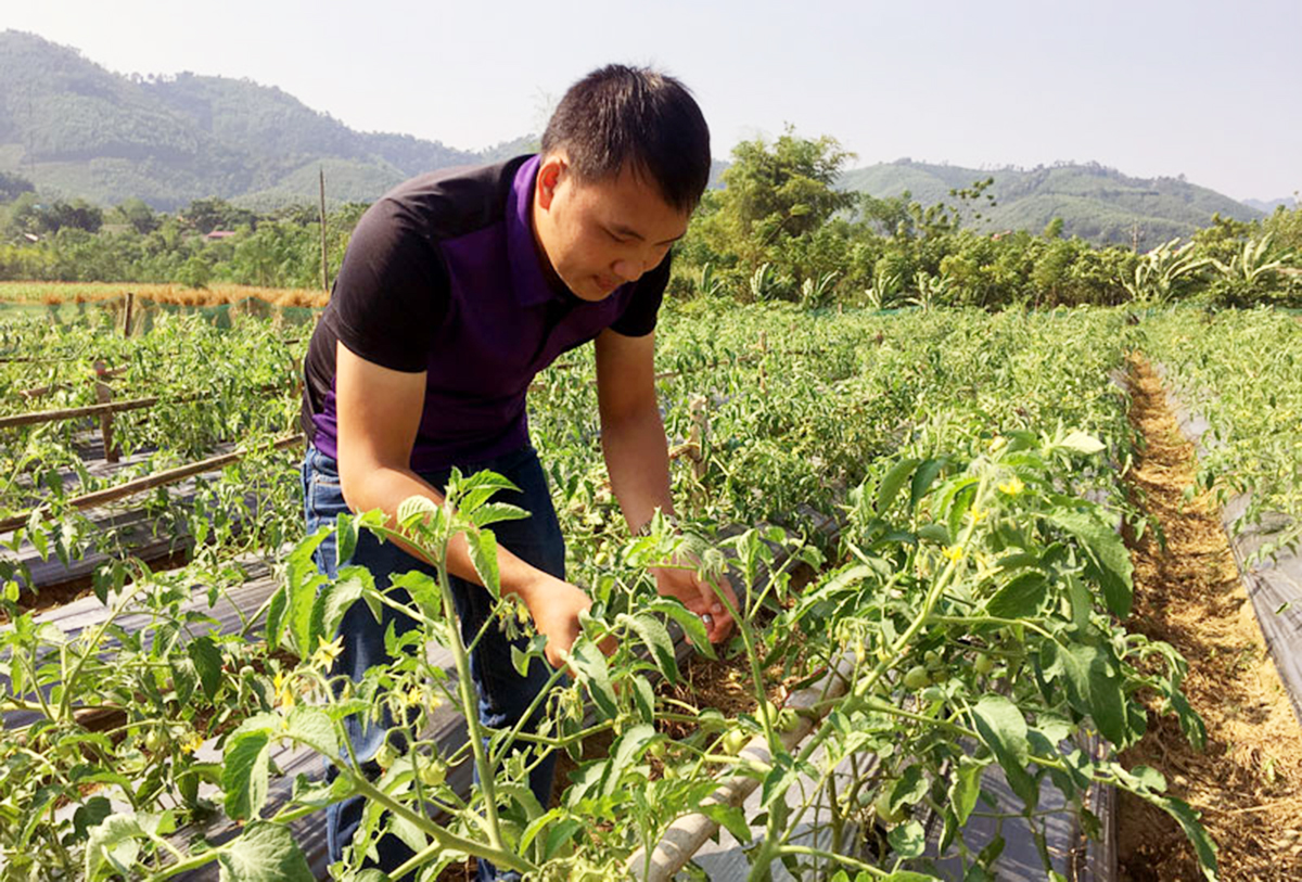 Đa dạng sinh kế cho đồng bào dân tộc huyện Chợ Mới (Bài 2): Những người 'thắp lửa' sản xuất