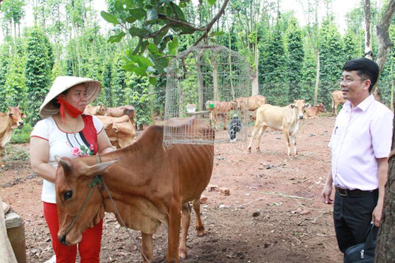 Cuộc sống mới của đồng bào Chơ Ro (Bài 2): Nỗ lực vươn lên thoát nghèo
