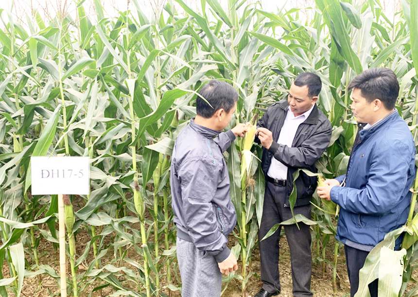 Tuyen-Quang-1-3613-1625457488.jpg