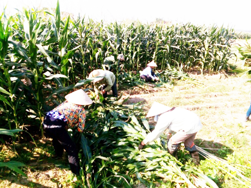 Tuyen-Quang-2-6270-1625457488.jpg