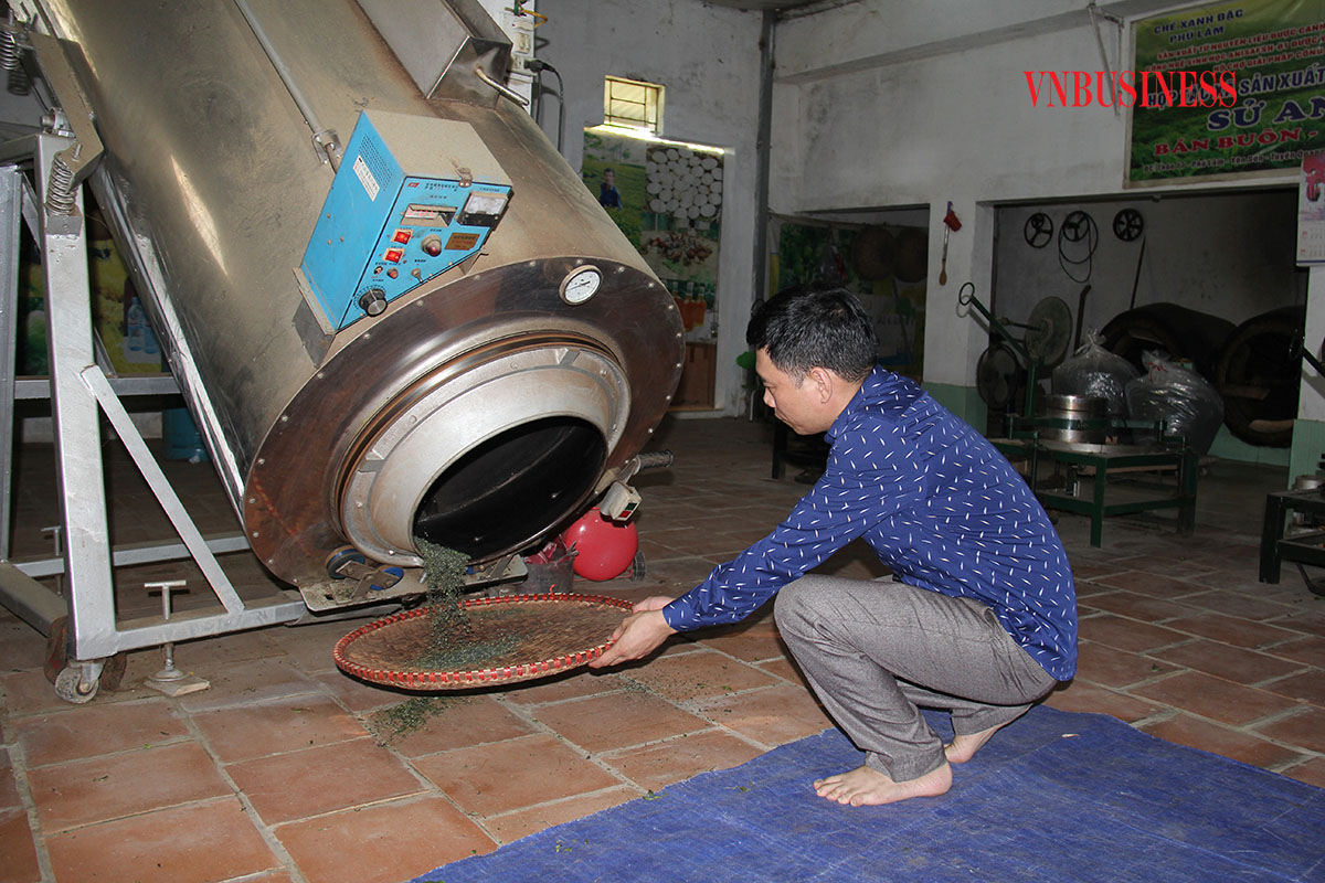 OCOP nâng chất cho các HTX tỉnh Tuyên Quang (Bài 1): Tận dụng thế mạnh cây chè địa phương