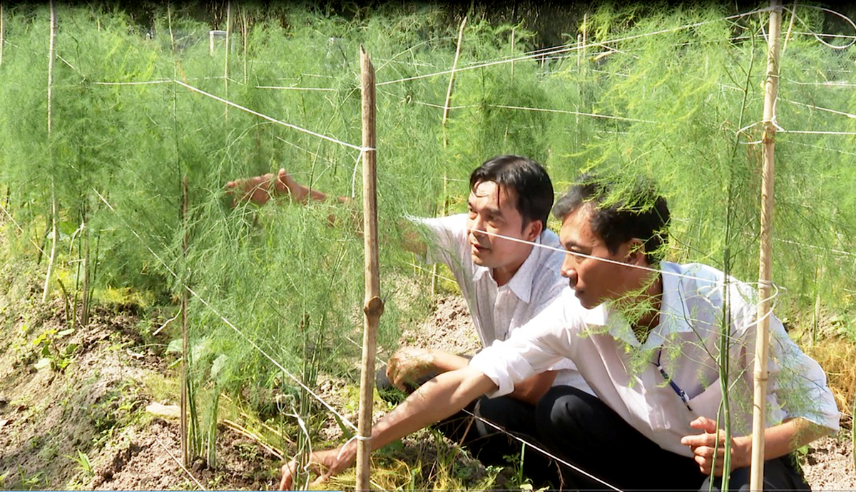 Dạy nghề tạo sinh kế cho người nghèo ở Chà Là