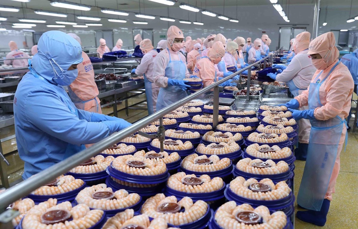 Xuất khẩu thủy sản đạt 4 tỷ USD trong nửa năm