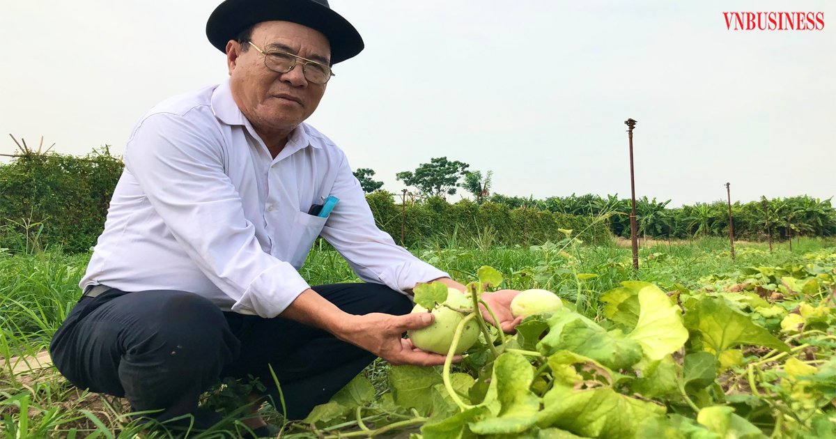HTX Minh Hưng: Rau quả sạch bén duyên trên vùng đất 'chết'