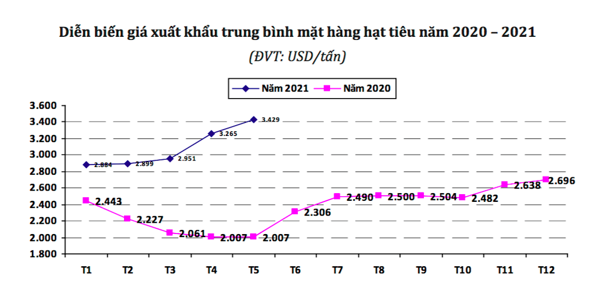 Dự báo xuất khẩu hạt tiêu 'được mùa, được giá'