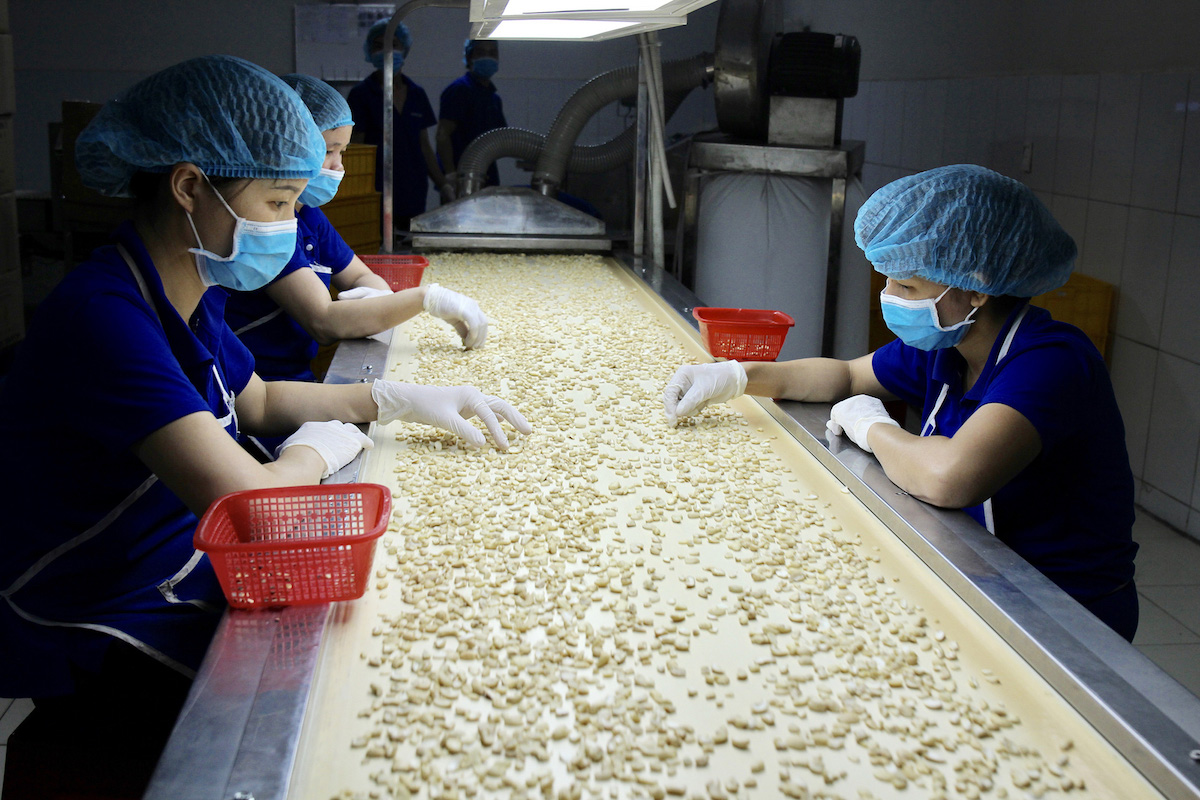 Thấy gì từ hiện tượng nhập siêu của ngành điều?