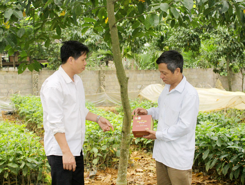 Sức bật từ sản phẩm OCOP ở Hòa Bình (Bài 1): Hạt dổi Chí Đạo góp phần xóa nghèo